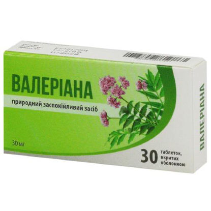 Світлина Валеріана таблетки 30 мг №30 (Біодил Фармасьютікалс)